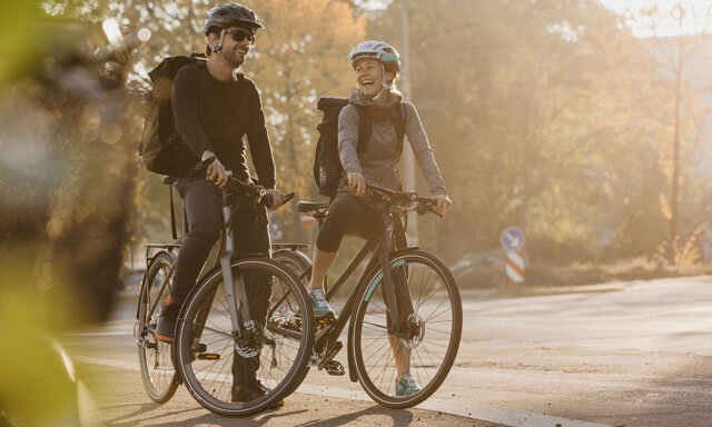 Trekking- & Citybikes