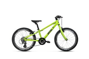 Pyro Bike 20 L green
