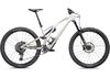 Specialized Stumpjumper EVO Expert GLOSS BIRCH / TAUPE S1